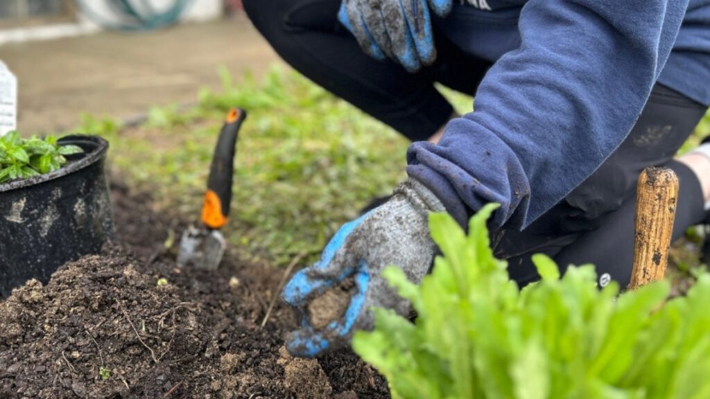 Veteran-Led Garden