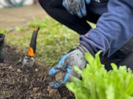 Veteran-Led Garden