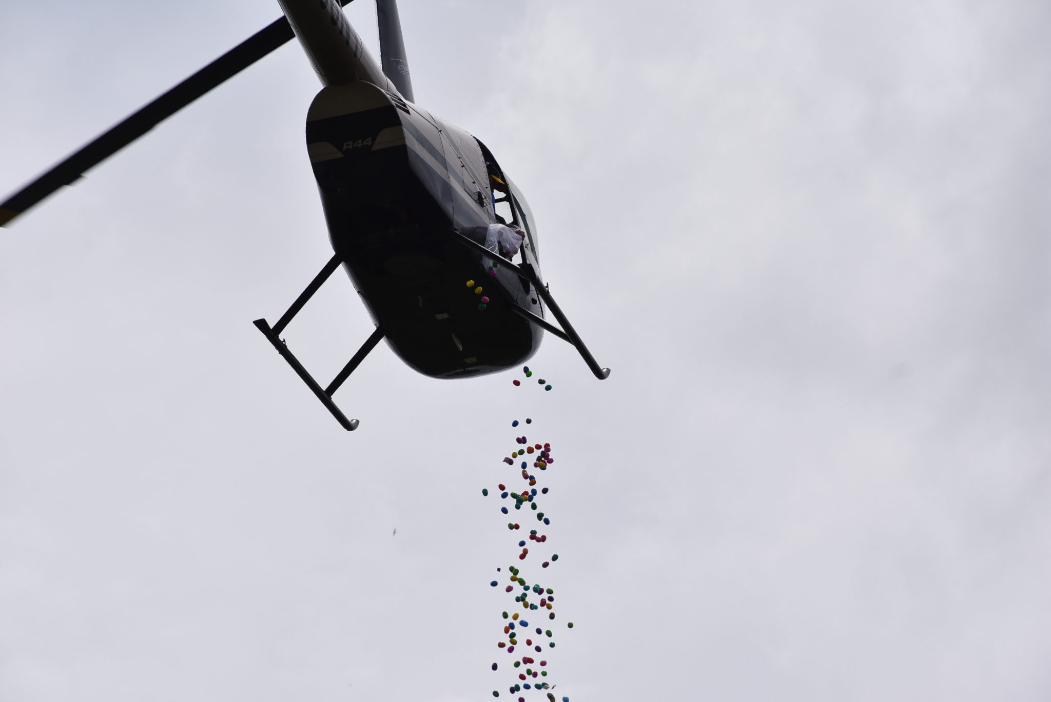 Helicopter egg drop attracts massive crowd Northeast Times